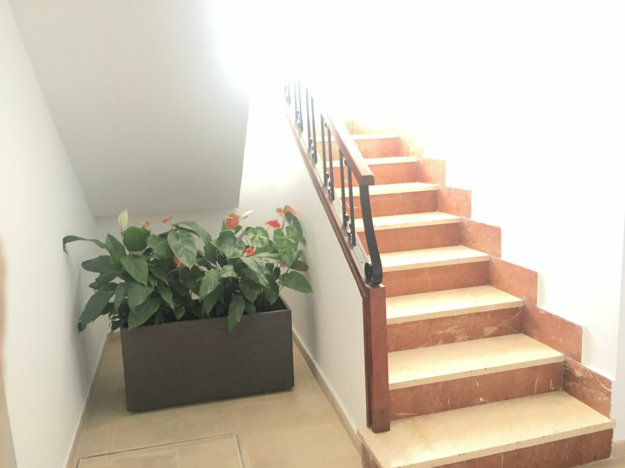 Morasol, Bluewater Apartment